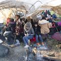Migranti na grško-turški meji