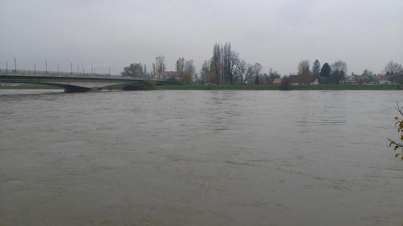 Narasla Drava na Ptuju