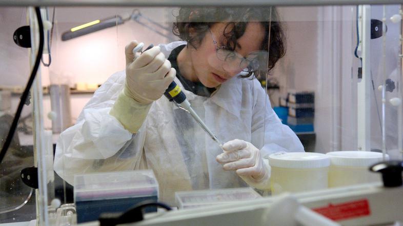 Virus Zahodnega Nila