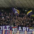 Viole, NK Maribor