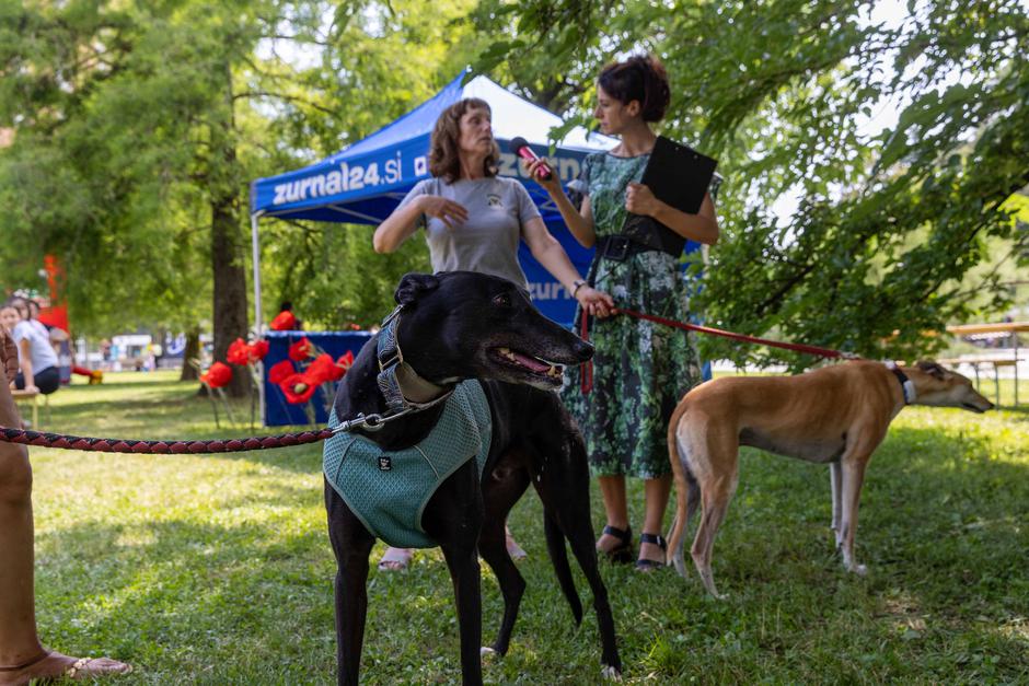 Festival za ljubitelje živali 2026 | Avtor: Cimet Studio
