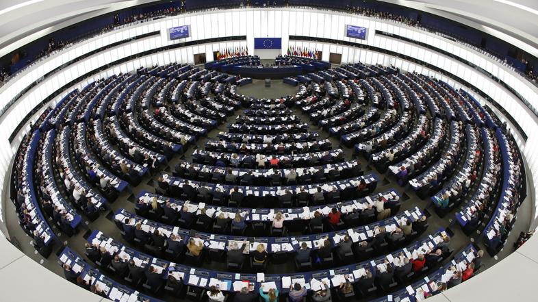 razno 13.02.14. evropski parlament, Members of the European Parliament take part
