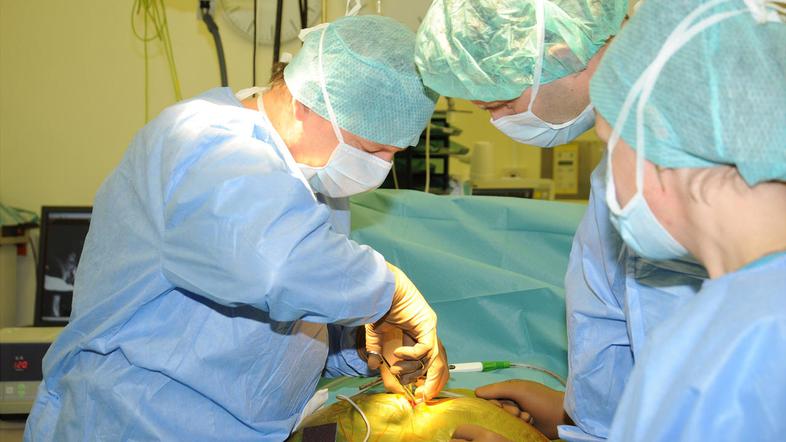 V UKC bodo podatke, koliko operacij opravi zdravnik, imeli po prenovi informacij