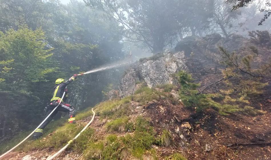 Na Celjskem več požarov, policija sumi, da so bili podtaknjeni