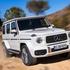 Mercedes-AMG G 63