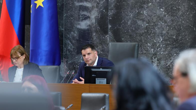 Državni zbor, Zoran Stevanović