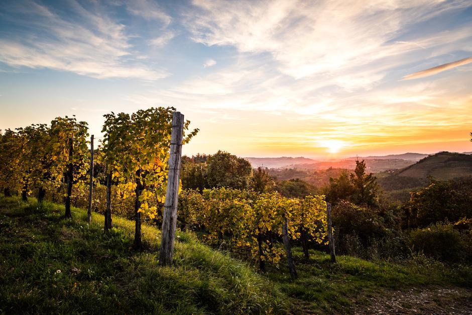 Goriška Brda | Avtor: TIC Brda