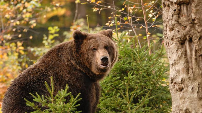 Fotografija je simbolična. (Foto: iStockphoto)