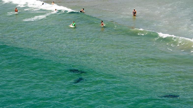 Na Novi Zelandiji so posneli grozljivo fotografijo, ki prikazuje, da so se nekaj