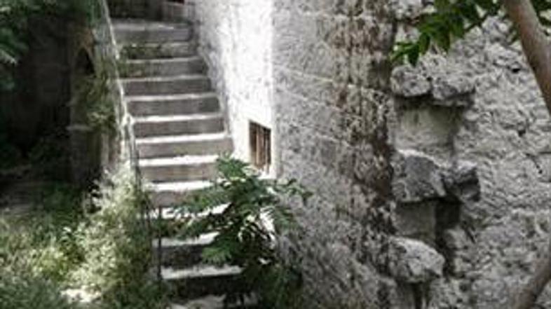 80-letnika je tik pred seksom zadela srčna kap.