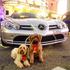 Psa in avtomobili