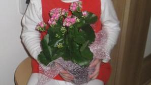 Gaja, za Gajine korake