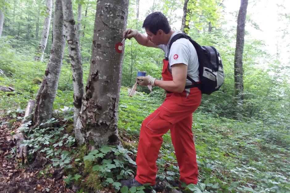 markacist | Avtor: Mladen Živković