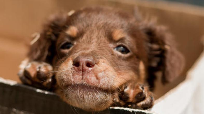 Slika je simbolična. (Foto: Shutterstock)