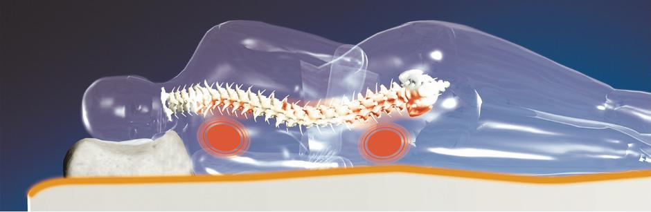 Lesnina XXXL | Avtor: Lesnina XXXL