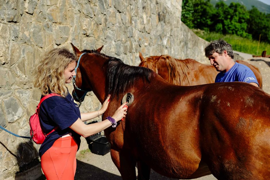 Ranč Tunink | Avtor: Saša Despot