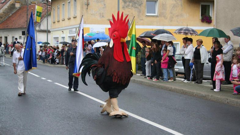 Manjkal ni niti šentjernejski petelin. (Foto: Živa Zakšek)