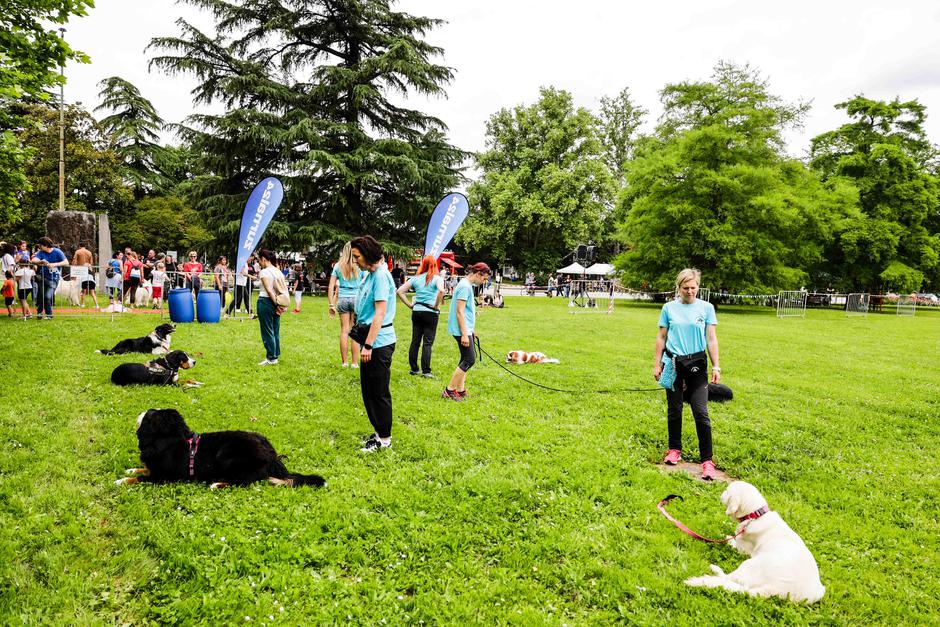 festival za ljubitelje živali | Avtor: Saša Despot