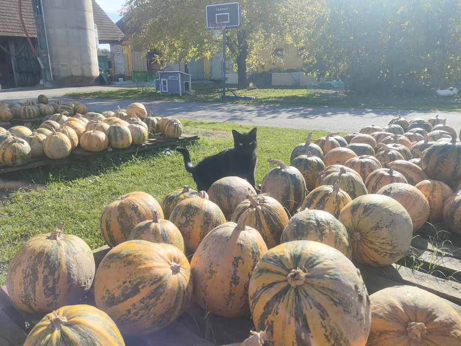 Kmetija Jančar | Avtor: uredništvo