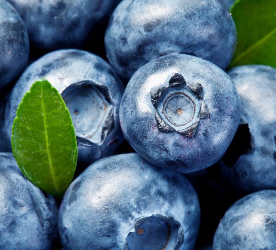 Ameriške borovnice | Avtor: Shutterstock