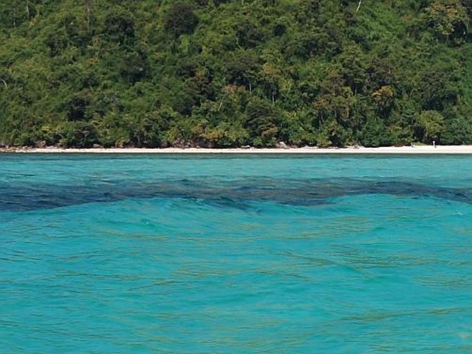 Otoček Poda je eden od tistih, na katerem so v deževnem obdobju edine stalne pre