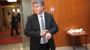 Slavnostna seja DZ ob dnevu državnosti.