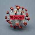 Shamonda-like