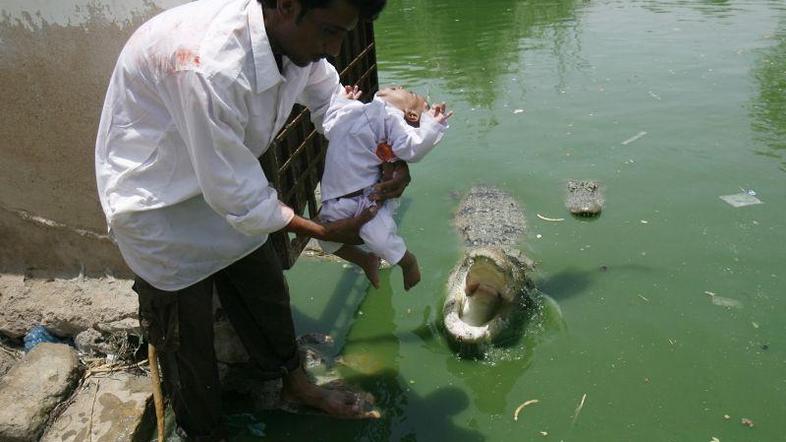 Verniki verjamejo, da krokodil ne bo napadel, saj ve, da so zvesti pripadniki sv