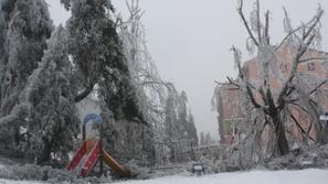 Snežna ujma v Postojni