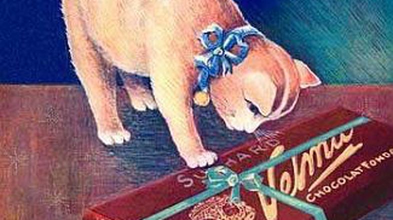 Otroci, psi in mačke ... največji zvezdniki starih oglasov za čokolado in kakav.