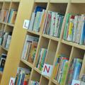 slovenija 25.08.10, knjiznica, knjige, knjiga, knjizna polica, OS Spodnja Siska,