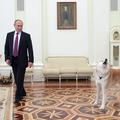 Vladimir Putin in psička Yume