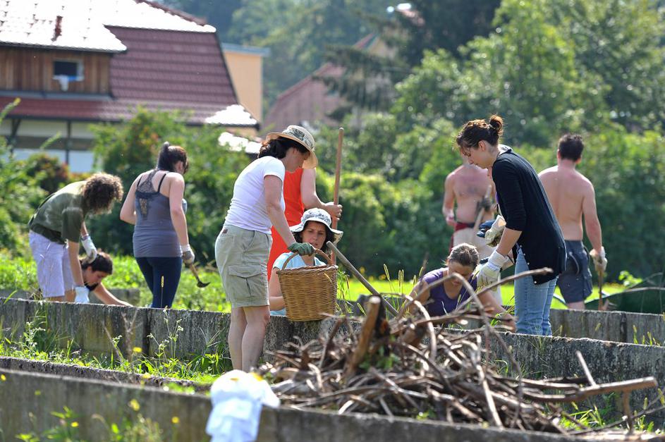 Prostovoljci so pomagali zapornikom urejati zelenice na Povšetovi ulici.