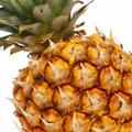 Kokain, najden v ananasih, bi bil na trgu vreden 25 milijonov evrov. (Foto: iSto