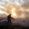 Grški gasilci se skoraj brez spanca že drugi dan borijo z ognjem na severu Aten 
