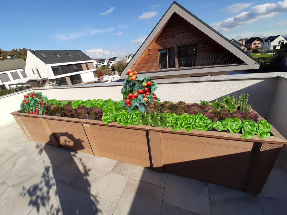 Eksenales | Avtor: Eksenales