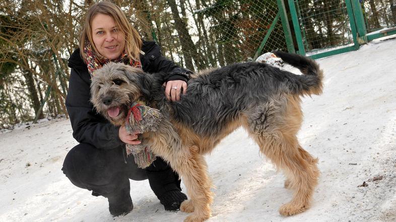 Fifi, ki je zdaj stara približno eno leto, si je pri Poloni Samec lepo opomogla 