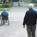 Pokojnine bo prejelo prih 21 slovenskih upokojencev. (Foto: Boštjan Tacol)