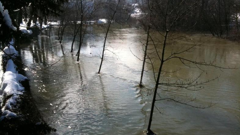 Pritoki Ljubljanice so  prestopili bregove, ko se je zacel taliti sneg. (Foto: R