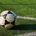Nogometna žoga