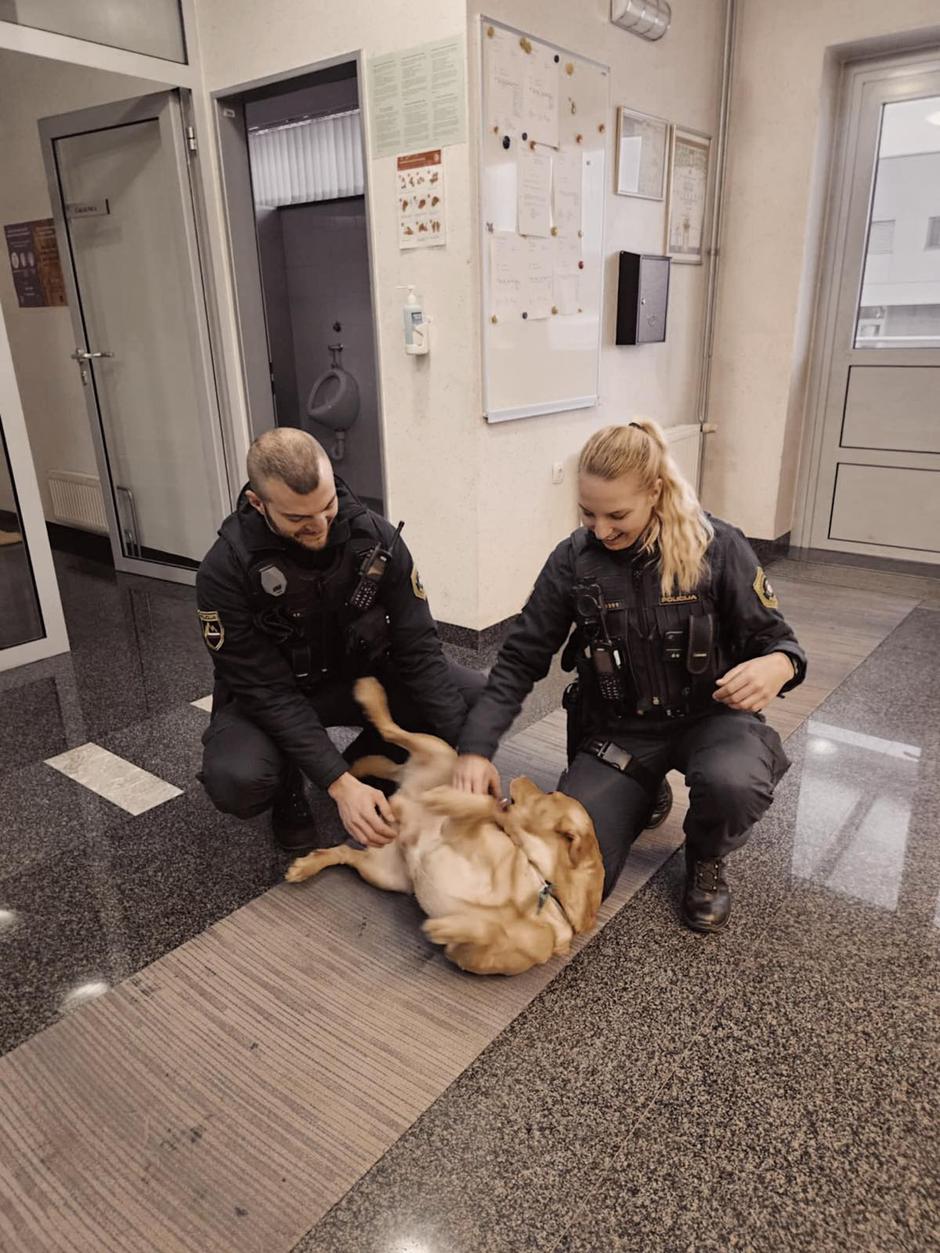 Eros | Avtor: PU Kranj