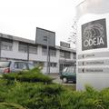 Odeja 