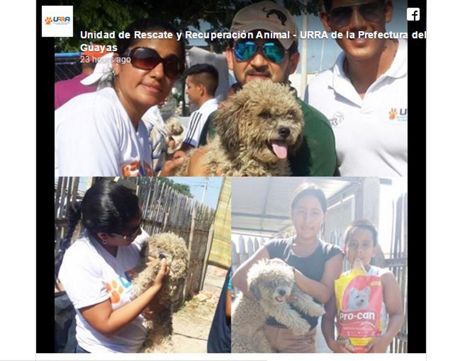 Max je našel novi dom | Avtor: Žurnal24 main