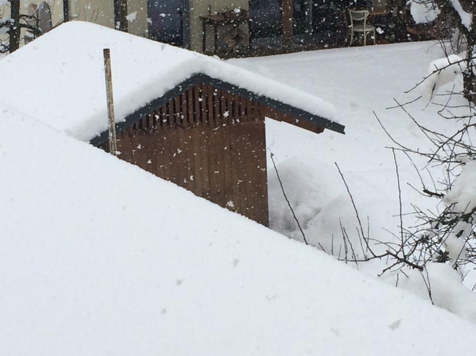 Novo sneženje na Gorenjskem