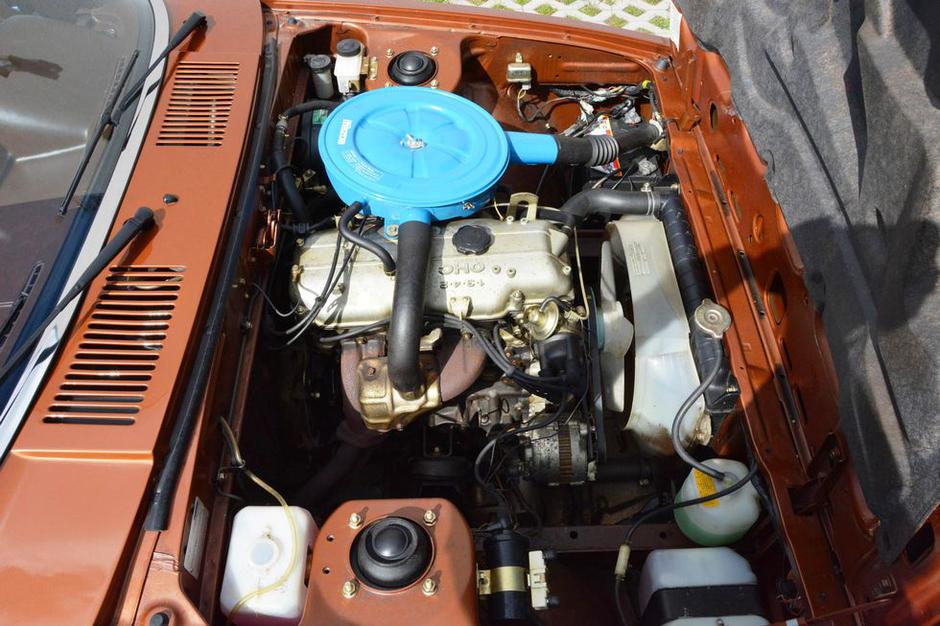  | Avtor: Reševalni pas/Twitter