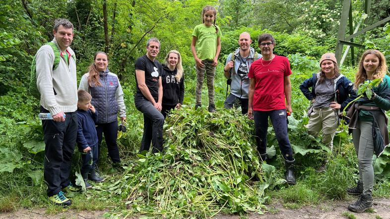 Tretja delovna akcija Očistimo Gorenjsko invazivk Kranj 2024