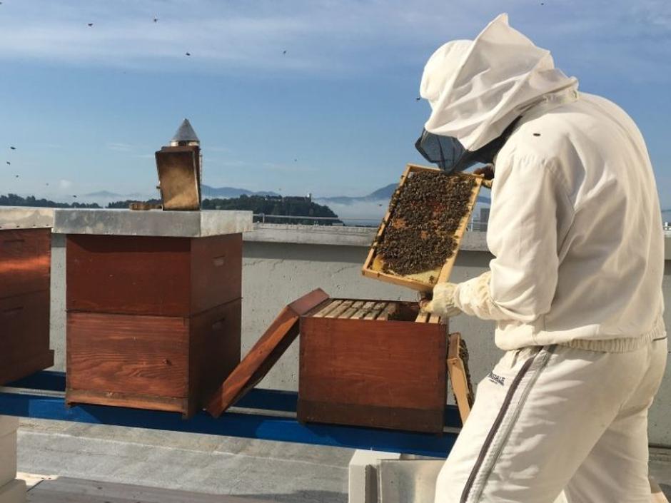 Petrol | Avtor: Petrol