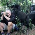 Srečanje z gorilami