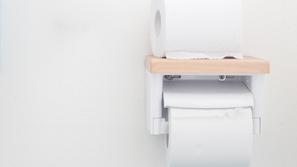 Toaletni papir, WC papir