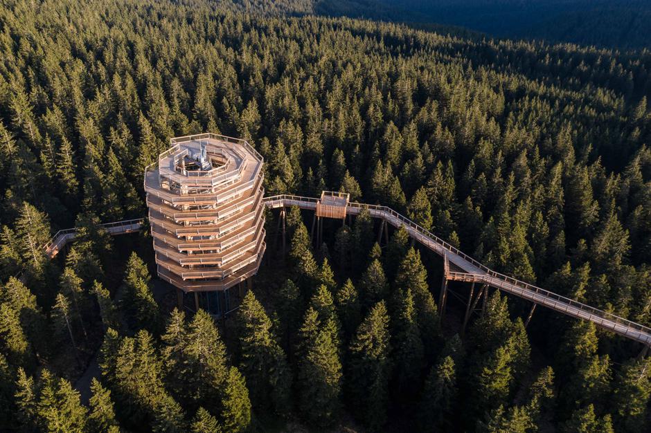 Iztok Medja: nova pot | Avtor: Iztok Medja